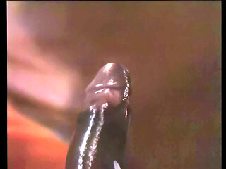 Wild Ride on a Thick Italian Vintage Cock