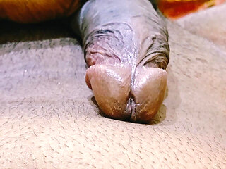 cock making hard and close up