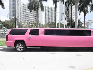 Italian Mistress and her cute chick commandeer a luxurious limousine
