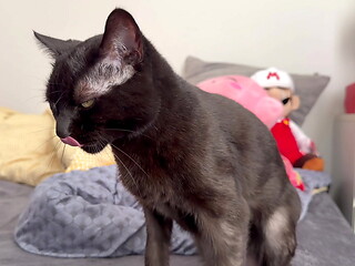 Pussy in 4K/120