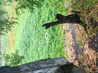 Morning long pissing in the forest.