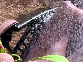 Amateur Blonde With BIG BOOBS Hot Free Cam Show