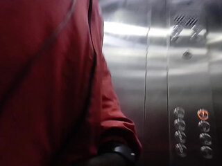dick flash in public lift