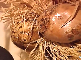 Ciera Sage & Tony Tedeschi Hardcore MILF Fuck - Big Tits, Cumshot & Orgasm in HD