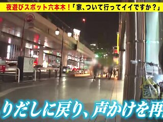 0004853_JAV_JapaneseAV_Censored_MGS_19min