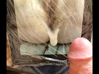 Cum Tribute 1