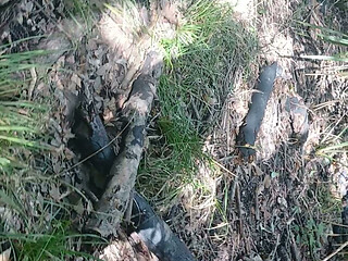 Jacking off in a public park