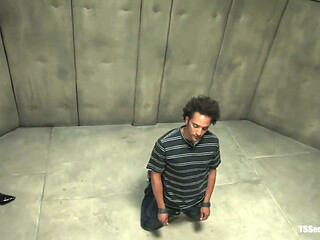 The Interrogation