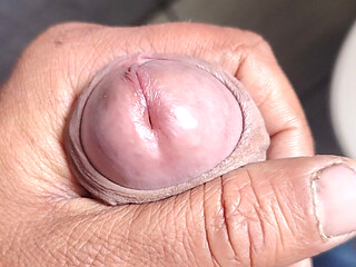 Dick Play