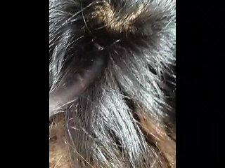 Fucking My Girl friend Doggy style