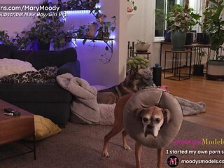 MaryMoody: Threesome, Toy  Chaturbate Porn