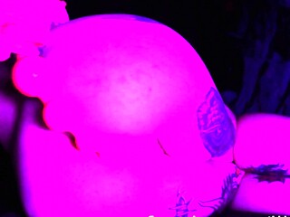 Cute amateur webcam teen girl toying pussy on webcam