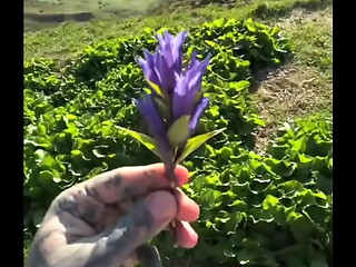 I got a super amazing flower from Lily lu filmz! ?What&rsquo_s the most thoughtful gift you&rsquo_ve ever received?#Flower...