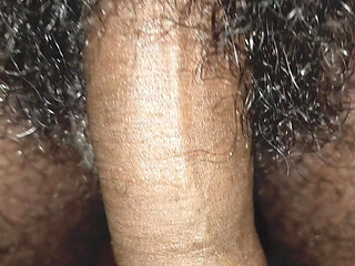 Hot Desi Boy's Cock Rocking