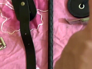 My Sex Toys