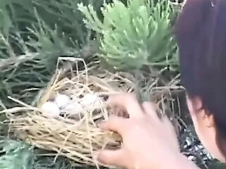 Hairy MILF Gets Fucked in the Garden
