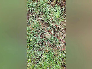 Just a Litte Bit Piss Cum Mix Enjoy