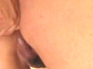 The Cow of the Office Next Door