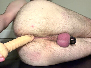 First time Anal organs while caged using dildo