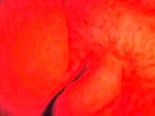 Verifikationsvideo