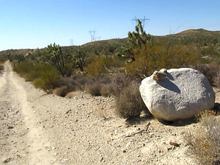 Desert Hike Jerkoff 9