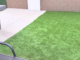 Polyjswitch Hotwife Serves BBC on Her Knees