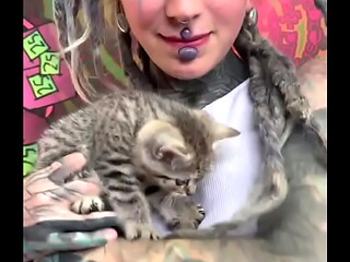 This cute little kitty makes me smile ?What always brings a smile to your face?#KittyCuddles #Smile #CatLove #Psyl...