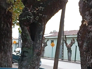 Can You Help Me Swing, Baby? Push Me Harder From Behind