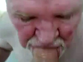 Amateur Daddy Bear Sucks Cock