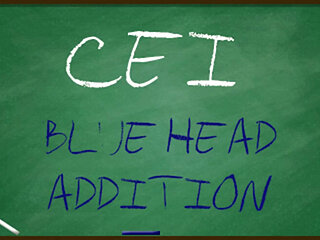 CEI for Really Gay Sissy