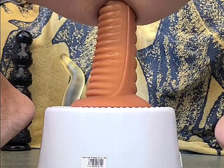 a selection of dildos