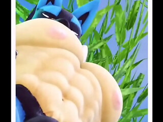 lucario Grows stronger