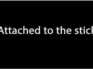 Attached To The Stick 2 - Daisy B