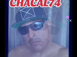 Pelon