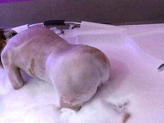 I'm Driven Crazy with Passion by My Stepbrother's Big Cock, I Enjoy It in the Motel Jacuzzi