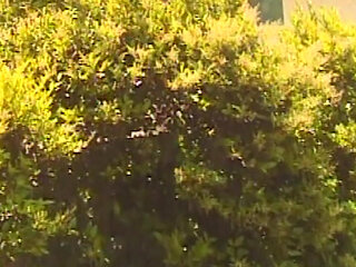 Versaute Fantasie läuft komplett aus dem Ruder wenn