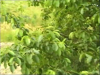 Good outdoor fuck in the country