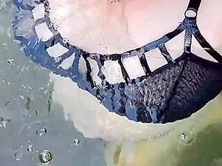 Busty Bbw Bouncy Bathing Beauty