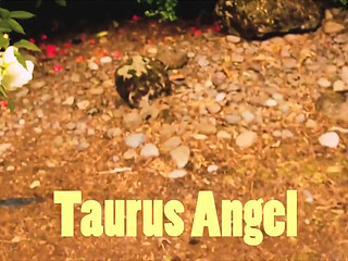 Cumming on Taurus's Pussy