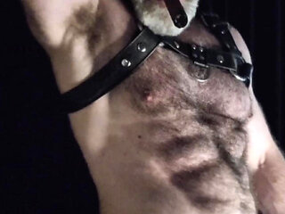 Hairy Muscle Leather Stepdaddy Showing off