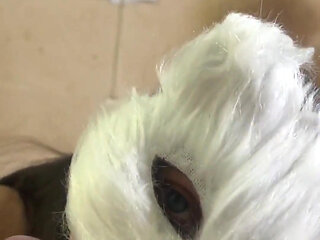 Today I'm a Naughty Kitten Who Wants Milk