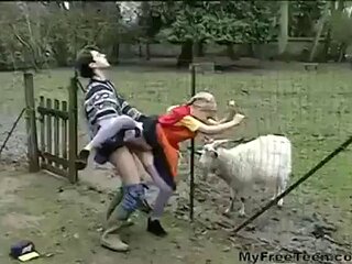 German beauty: Blowjob, Doggy  Cowgirl Porn