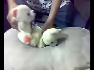 Oso puto es follado.