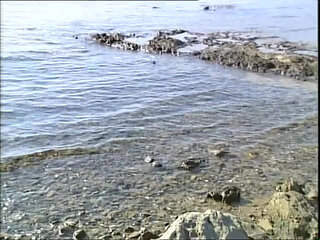 Stepdaughters of a lesser God (Full porn movie)