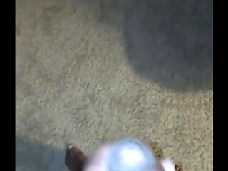 Mr go dickger 6