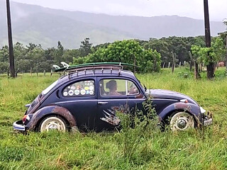 Playing in the Mud with the Beetle