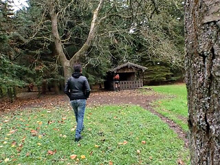 Doggy style in the woods!