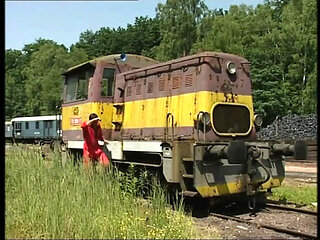 Double Blowjob Facial Cumshot with Big Ass Chubby Girl