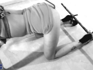 Dripping of Submission - Bdsmlovers91