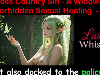 Cross Country Sin: a Widower's Sexual Healing Part 19 - English Audio Sex Story